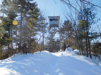 Lakes Region Hiking — Ancient pines of the Hemenway State Forest