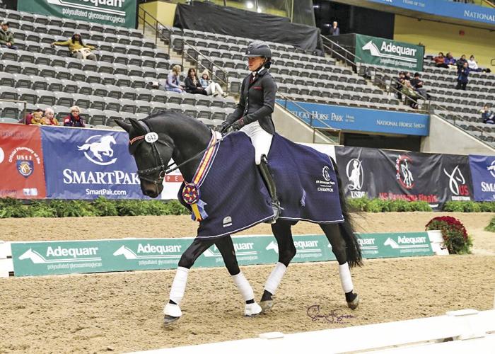 US Dressage Finals
