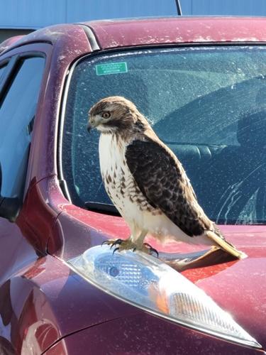 Reader Pics: Feb. 24