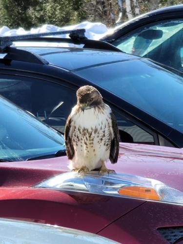 Reader Pics: Feb. 24