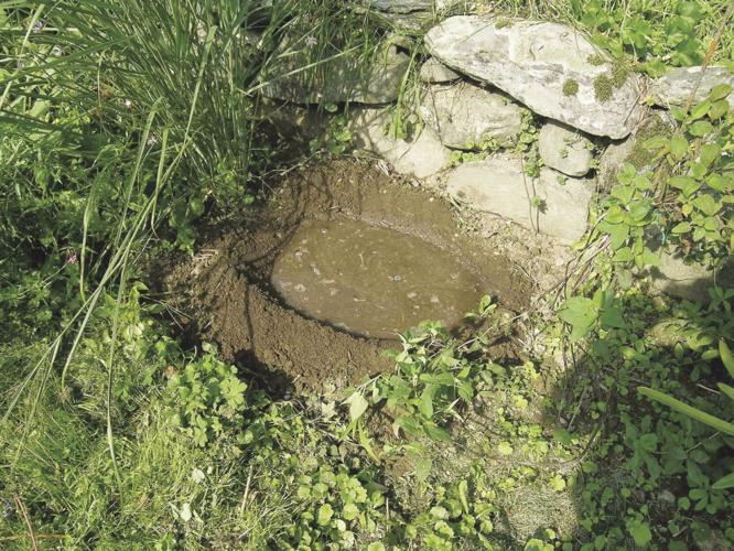 Testing drainage is simple