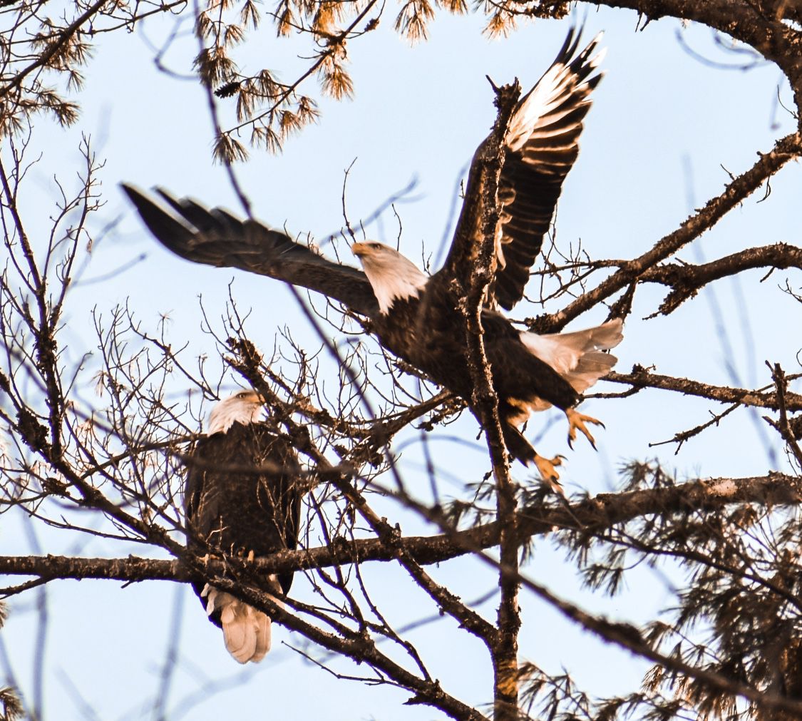 Reader Pics: Feb. 9