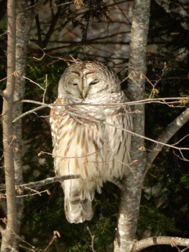 Reader Pics: Dec. 30