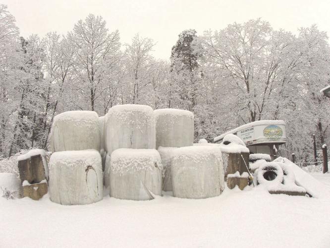 1-24 outdoor roundbale