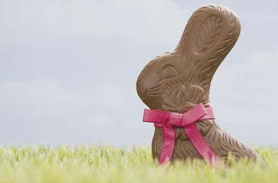 Chocolate bunnies