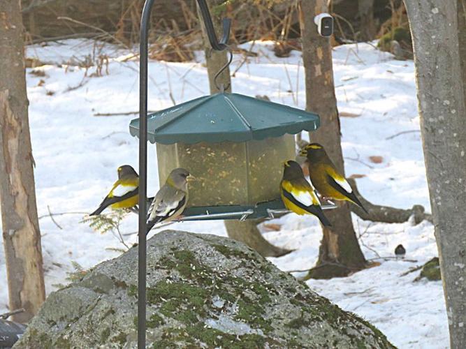 Reader Pics: Jan. 18