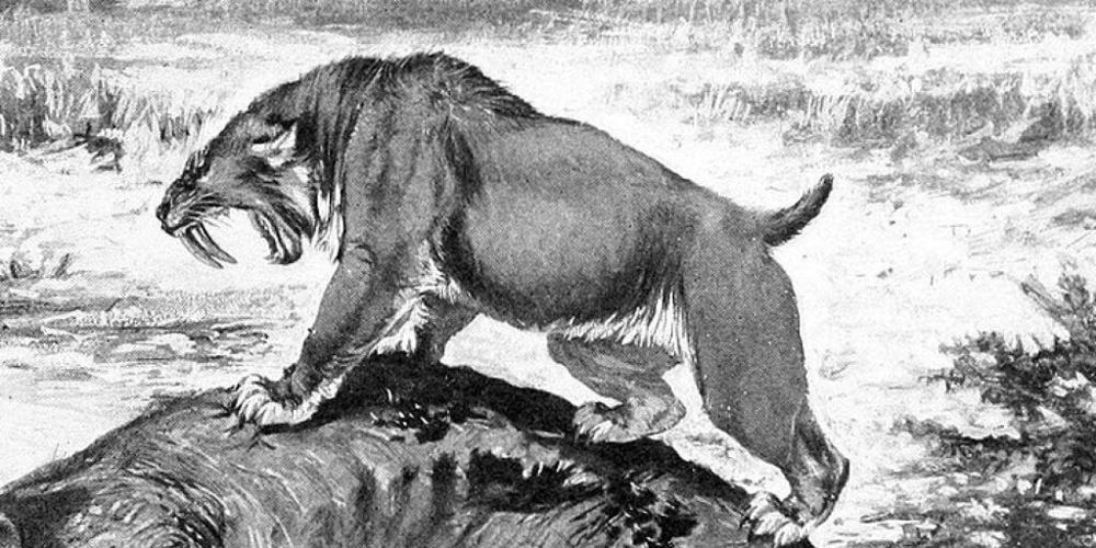 Why the Americas lost more giant mammals than Africa or Asia