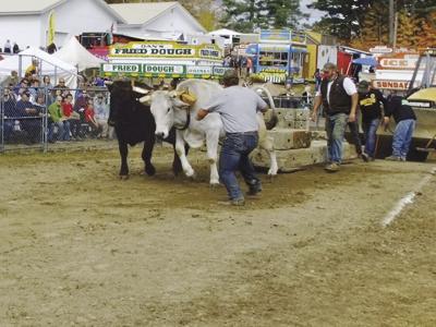 Sandwich Fair