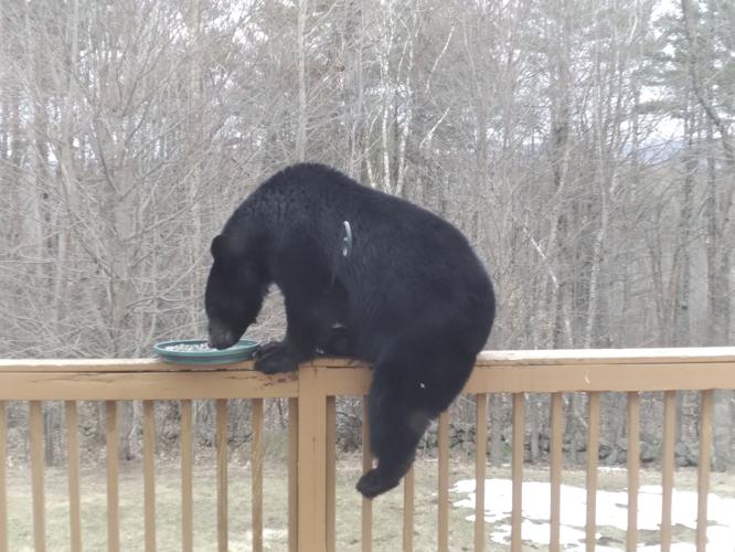 Reader Pics: April 11