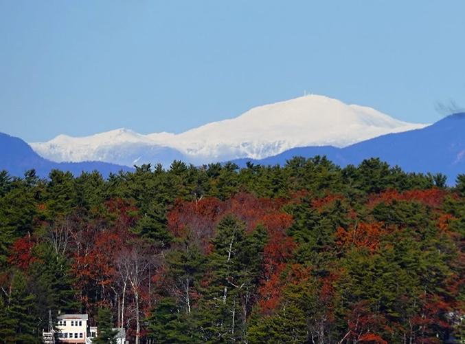 Reader Pics: Nov. 26