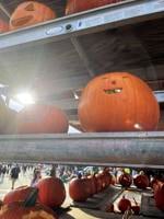 Laconia Pumpkin Festival ready for its debut