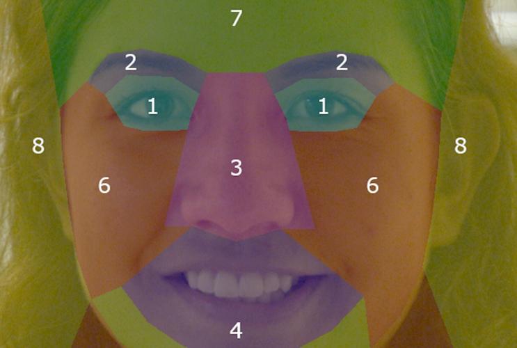 Facial identity specialists can recognise someone just from their eyes or ears