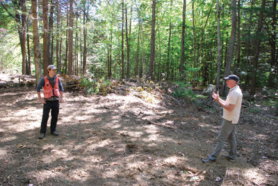 Saving the trees – Logging at Weeks Woods has some worried but officials say it’s good for the forest