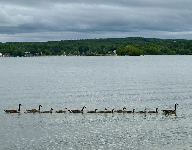 Reader Pics: June 12