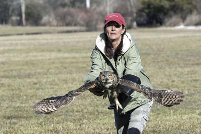 On the Wing presentation