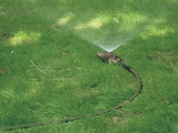 07-11 HOME This simple stationary watering frog waters a circle up to 20 feet across.jpg
