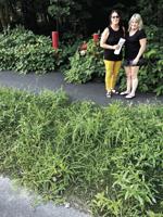 Lafayette St. residents bring grass gripes to city