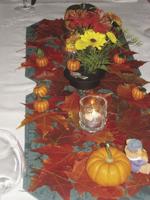Pumpkins on my mind