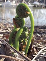Winter programs at Prescott Farm