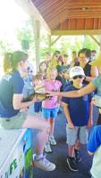 Activities, programs and events this September at Belmont Public Library