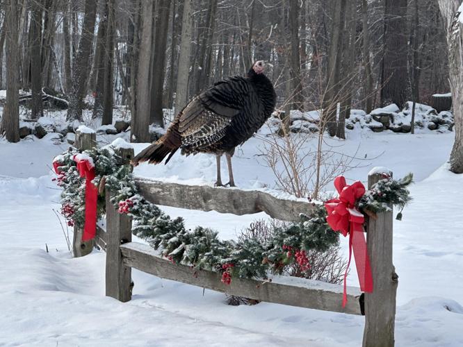 Reader Pics: Jan. 10