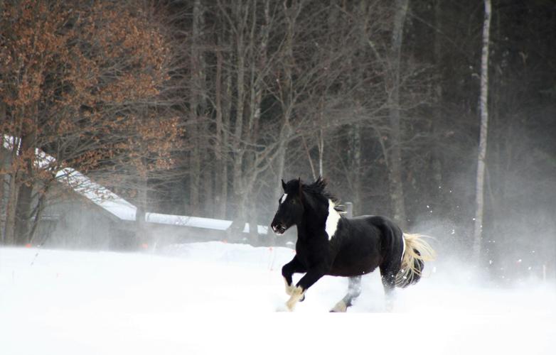 Reader Pics: Jan. 24