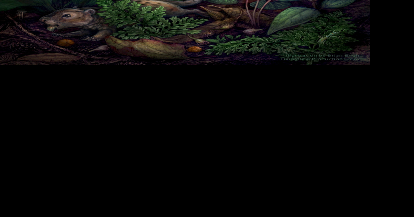 ‘Botanical Pompeii’ shows plants thrived before dinosaur extinction