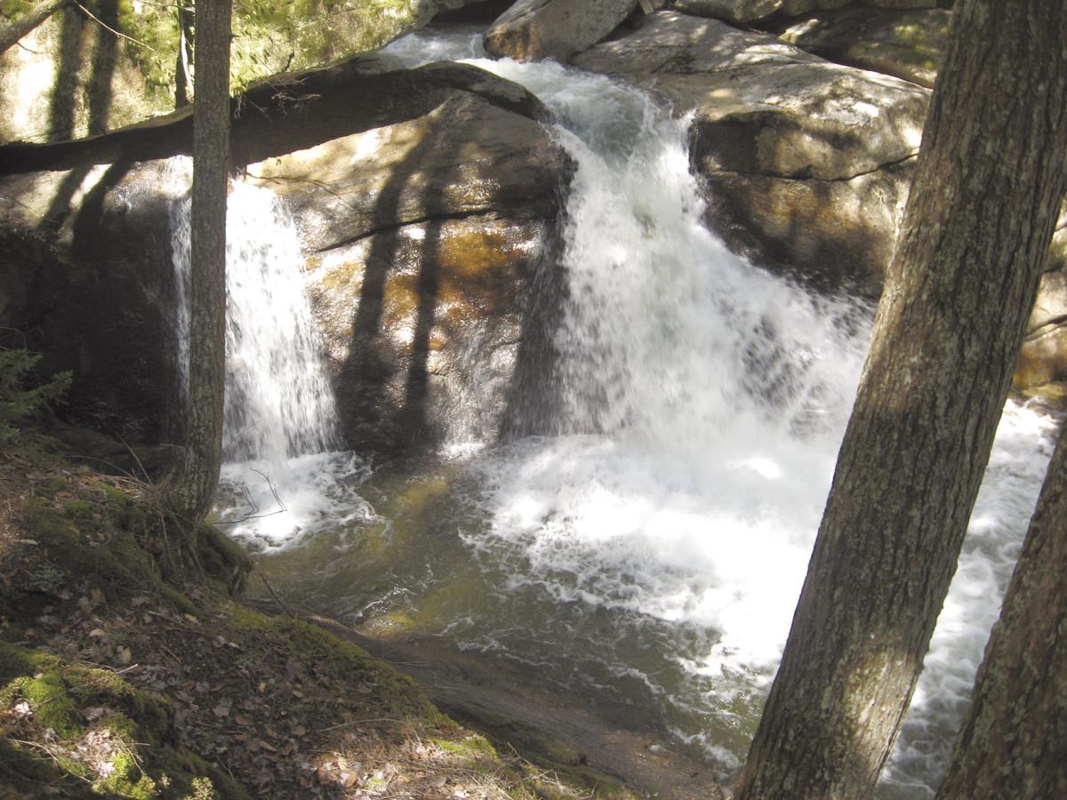 Ten Family Friendly Hikes In The Lakes Region Outdoors Laconiadailysun Com