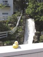 Lions club seeking volunteers for July rubber duck race