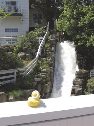 Rubber duckie, you're the one