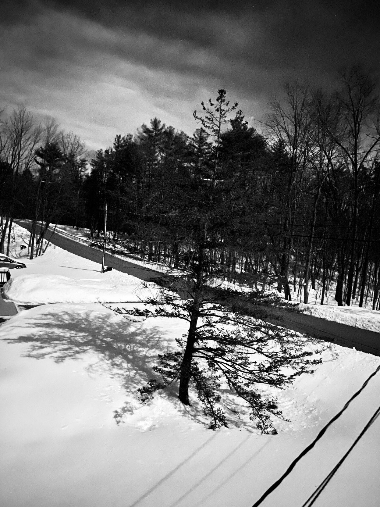 Reader Pics: March 27