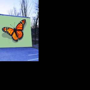 Plan for new mural at the Butterfly Garden in Bristol