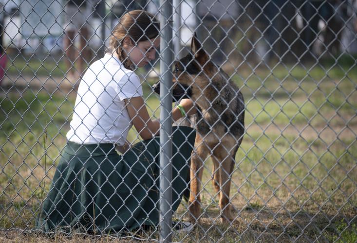 Jenny Wood comforts Apollo