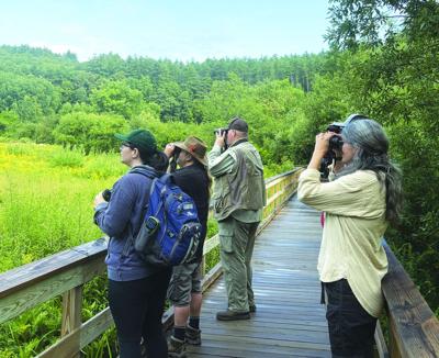 bioblitz