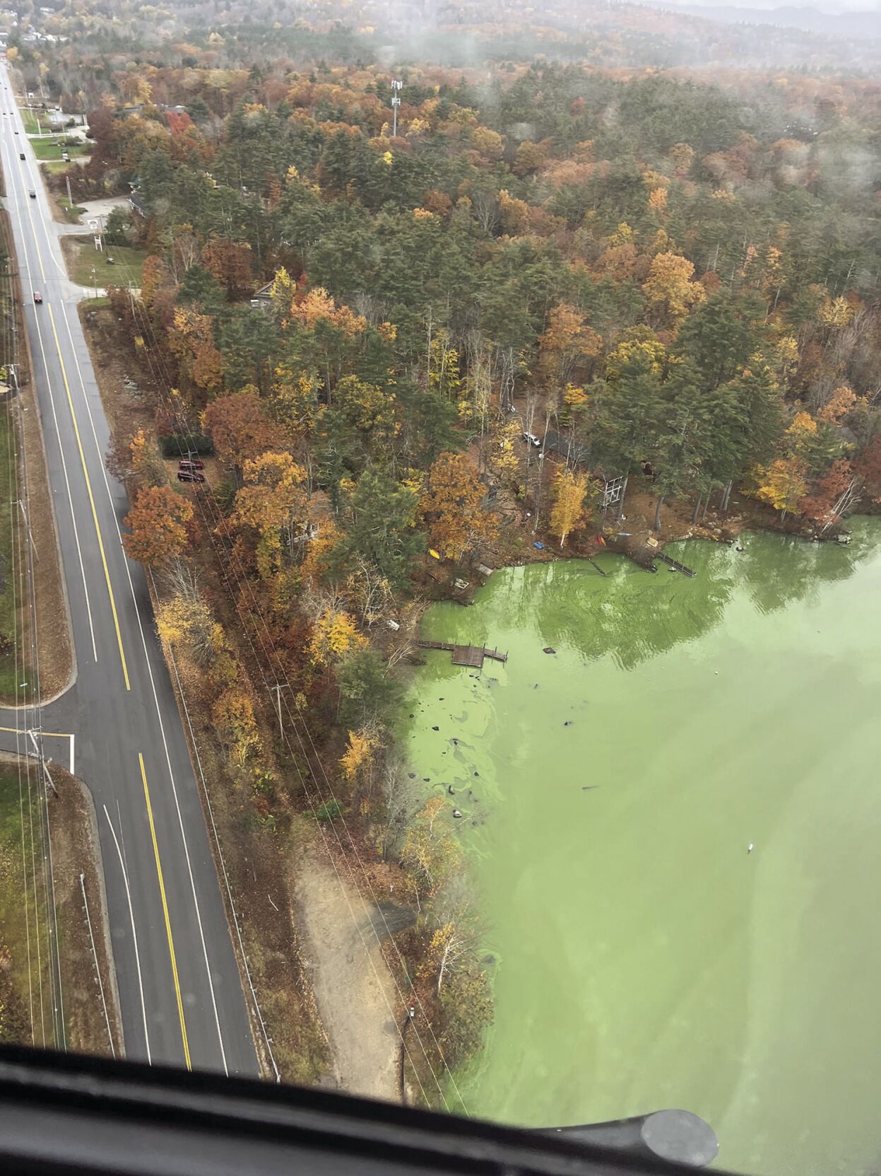 Kanasatka fall bloom