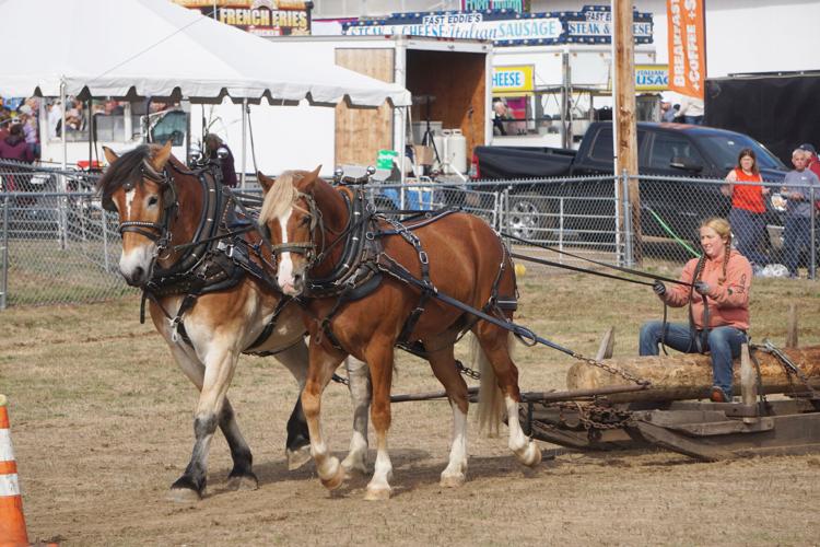 Horse pull