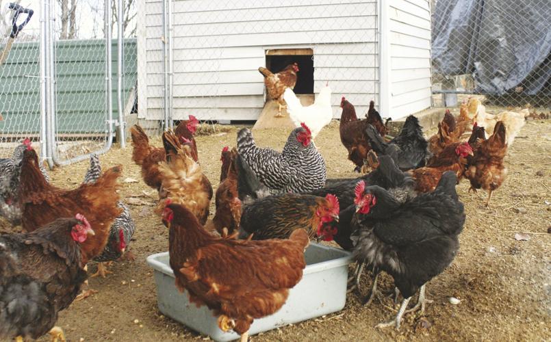 03-06 OUTDOORS Group2_InPixio_InPixio.jpg