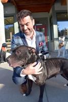 Q & A with NH Humane Society Executive Director Charles Stanton