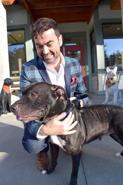Q A With Nh Humane Society Executive Director Charles Stanton Covid 19 Laconiadailysun Com