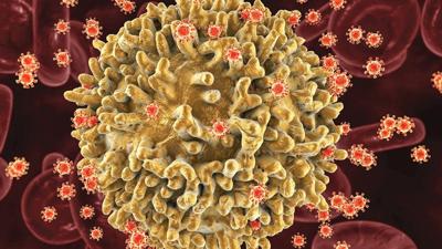 Achieving lasting remission for HIV