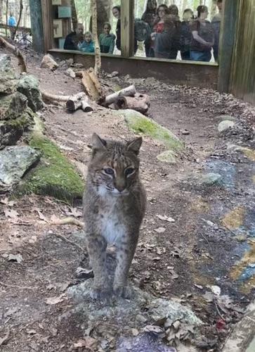 Squam Lakes Natural Science Center to hold residents day Oct. 26