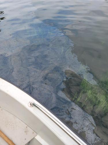 Oil on the water