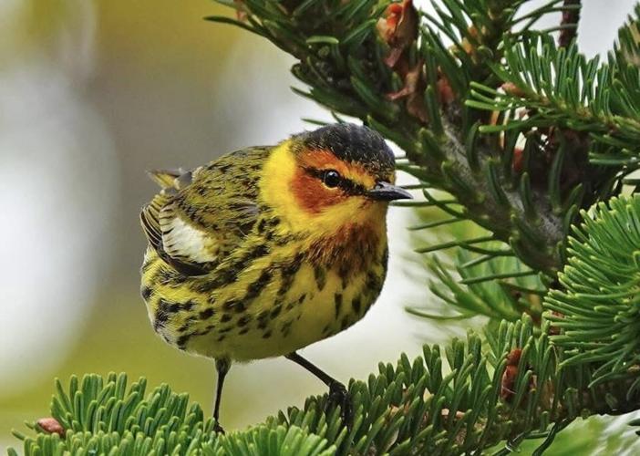 Reader Pics: March 25