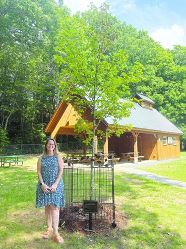 Gilford Elementary School principal honored with tree dedication