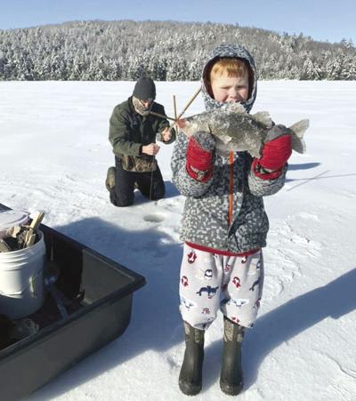 White perch