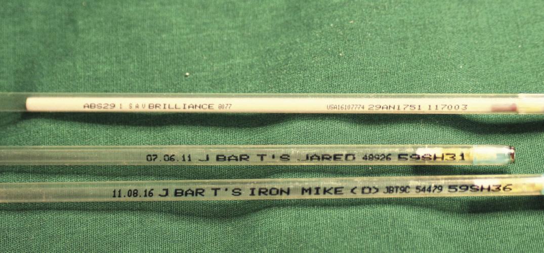 These are empty “straws” used to transport the semen used in A.I.