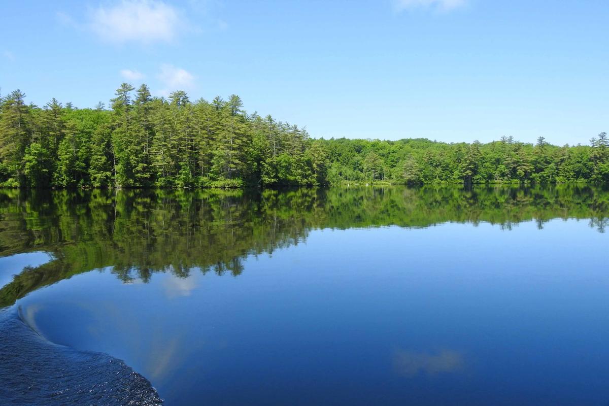 Reader Pics: June 30
