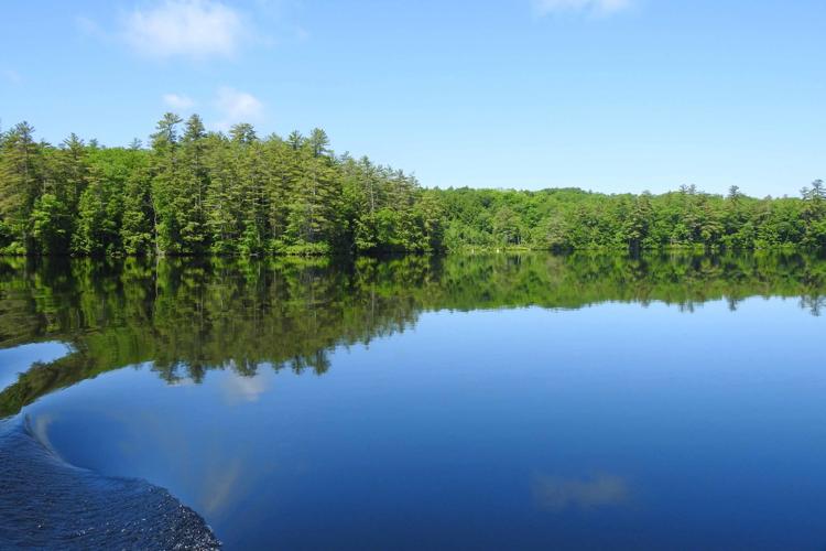 Reader Pics: June 30