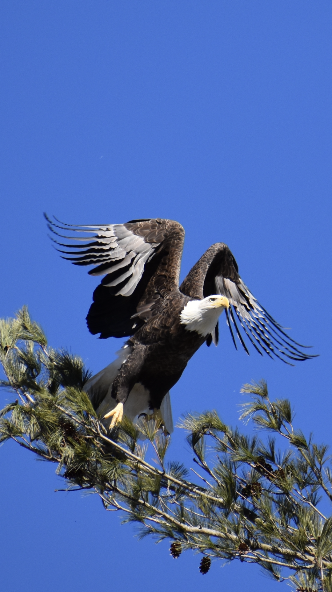 Reader Pics: Feb. 9