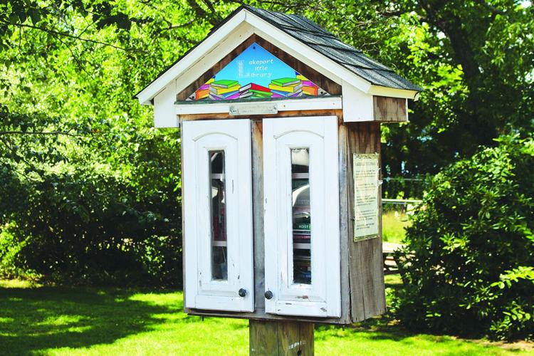 Lakeport Little Library